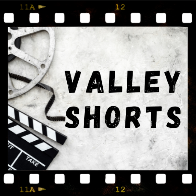 Valley Shorts