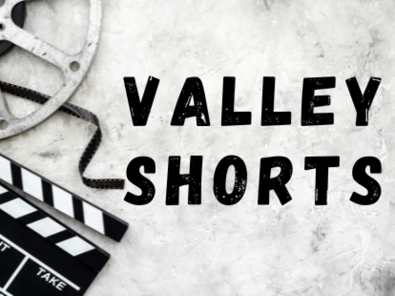 Valley Shorts